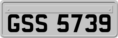 GSS5739
