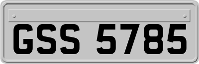 GSS5785