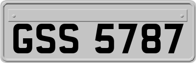 GSS5787