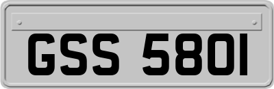 GSS5801