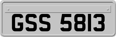 GSS5813