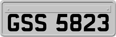 GSS5823