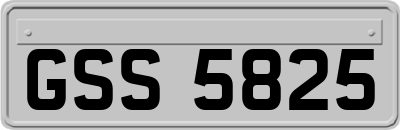 GSS5825