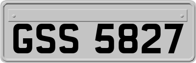 GSS5827