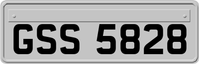 GSS5828