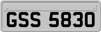 GSS5830