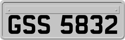GSS5832