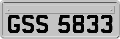 GSS5833