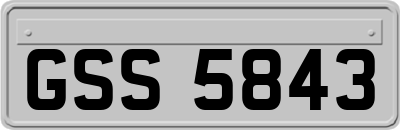 GSS5843