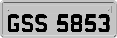 GSS5853