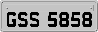 GSS5858