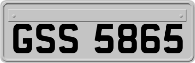 GSS5865