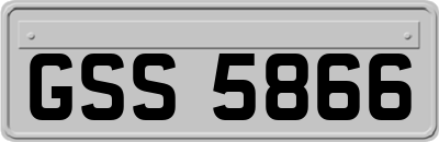 GSS5866