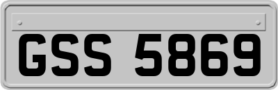 GSS5869