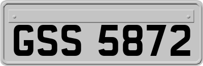 GSS5872