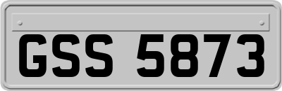 GSS5873