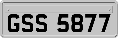 GSS5877