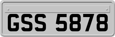 GSS5878