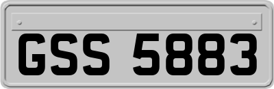 GSS5883