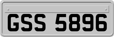 GSS5896