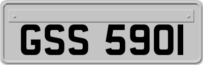 GSS5901