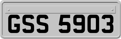 GSS5903