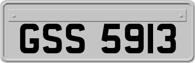 GSS5913