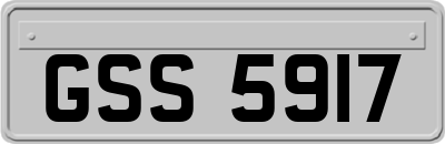 GSS5917