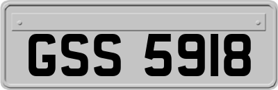 GSS5918