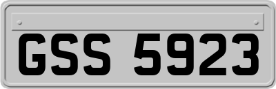 GSS5923