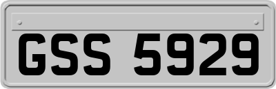 GSS5929