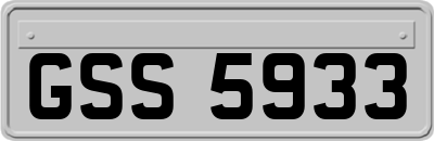 GSS5933