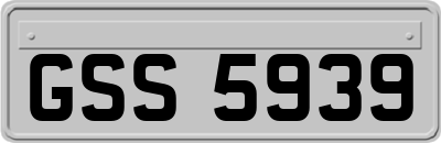 GSS5939