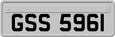 GSS5961