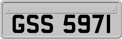 GSS5971