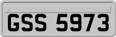 GSS5973