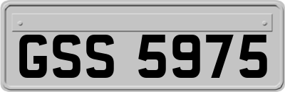 GSS5975