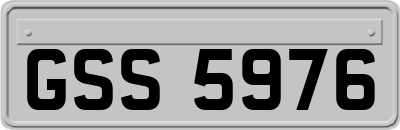 GSS5976