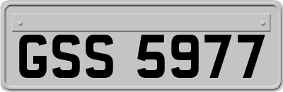 GSS5977