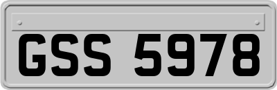 GSS5978