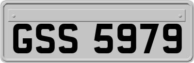 GSS5979