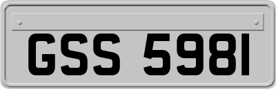 GSS5981