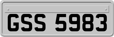 GSS5983