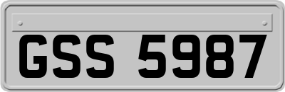 GSS5987