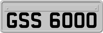GSS6000