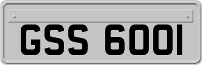 GSS6001