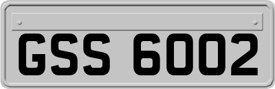 GSS6002