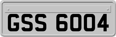 GSS6004