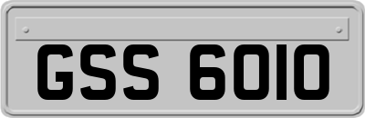GSS6010