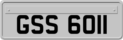 GSS6011
